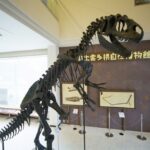 地球の歴史と自然を体感できる「泊まれる博物館」