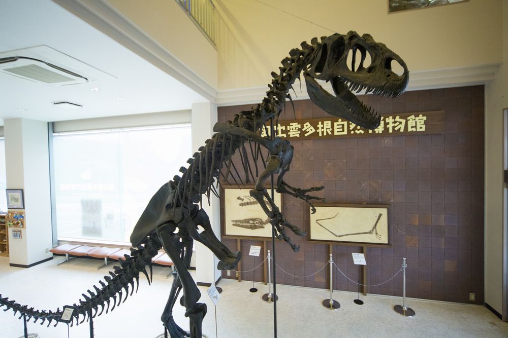 地球の歴史と自然を体感できる「泊まれる博物館」