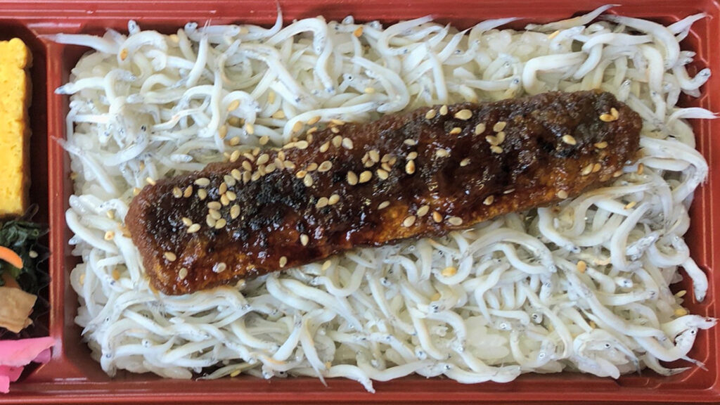 #02 岳南電車と田子の浦いわしらす重