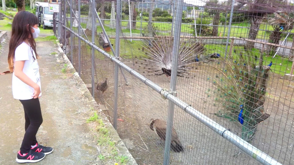 #05 関東の熱帯・亜熱帯天国