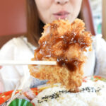 #11 奥羽本線と山形みちのく旅めぐり弁当