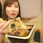#20 秋田新幹線こまちと盛岡じゃじゃ麺と牛めし弁当