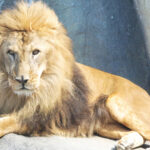 #08 車でめぐる野生ワールド