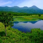 知床五湖全制覇と野生動物に出会う2つの遊覧