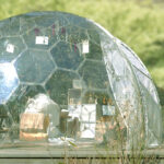 #17 六甲山にそよぐオルゴールの音色